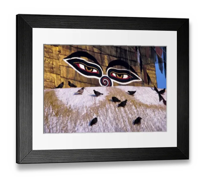 Framed Print : Asia, Nepal, Kathmandu Valley. Pigeons cover the stupa at Swayambunath near Kathmandu Framed Print : Asia, Nepal, Kathmandu Valley. Pigeons cover the stupa at Swayambunath near Kathmandu