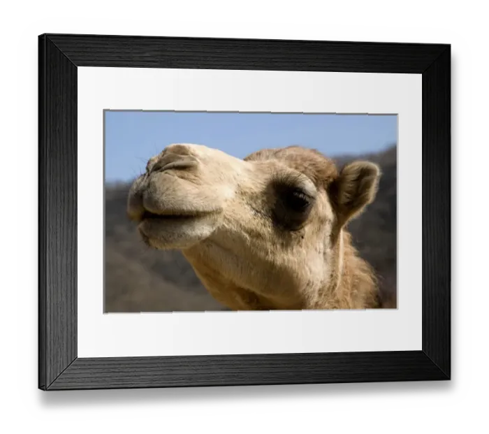 Framed Print : Asia, Oman