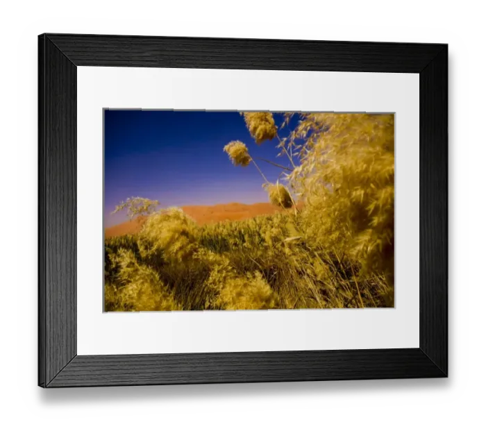 Framed Print : Oman, Rub Al Khali desert Framed Print : Oman, Rub Al Khali desert