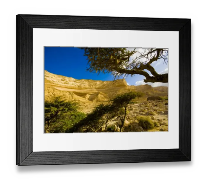 Framed Print : Asia, Oman