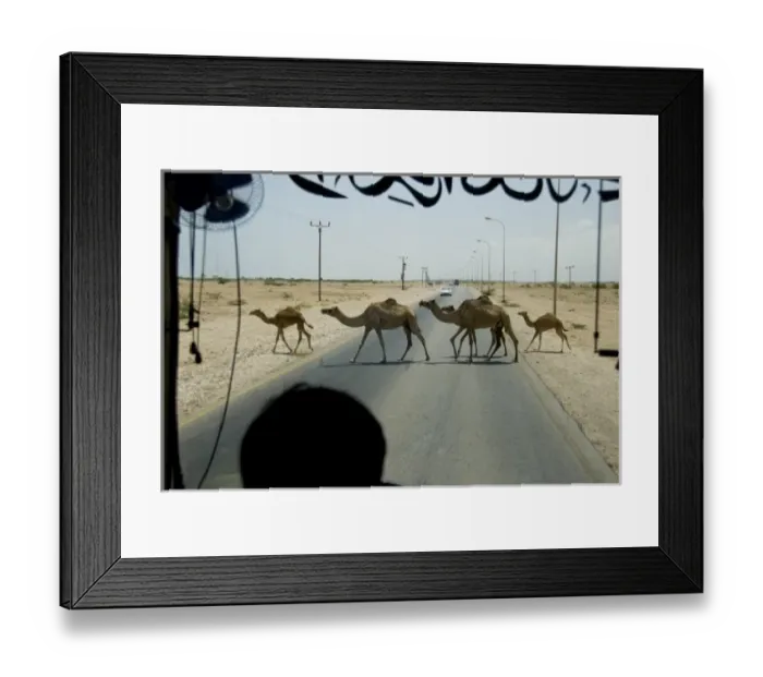 Framed Print : Asia, Oman