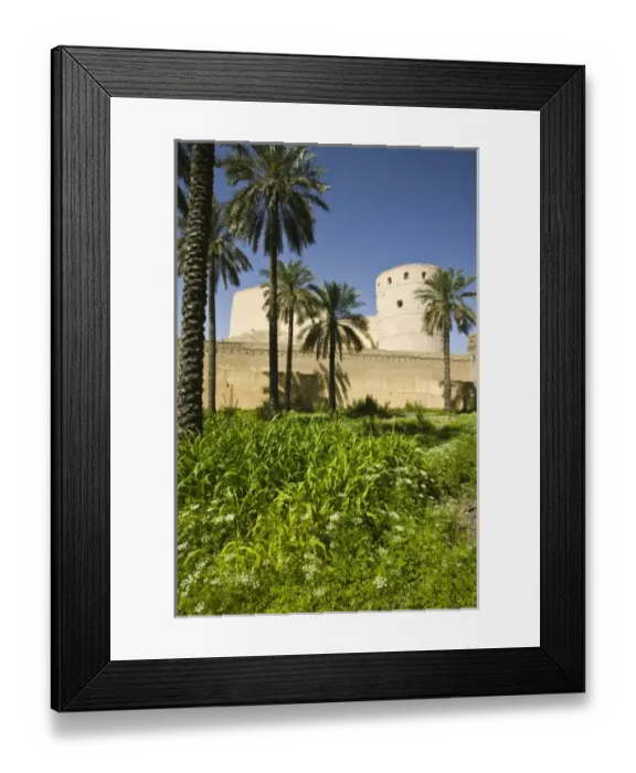 Framed Print : Oman, The Batinah Plain, Rustaq. Rustaq, once Omans Capital in the 17th century Framed Print : Oman, The Batinah Plain, Rustaq. Rustaq, once Omans Capital in the 17th century