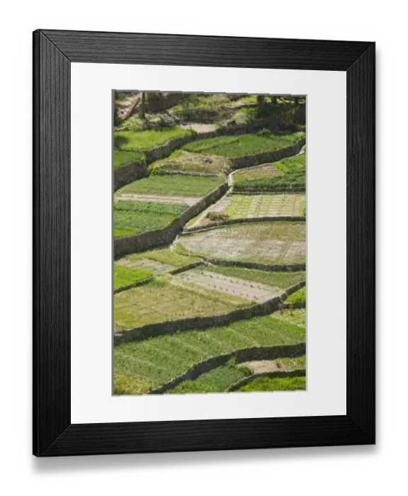 Framed Print : Asia, Oman Framed Print : Asia, Oman