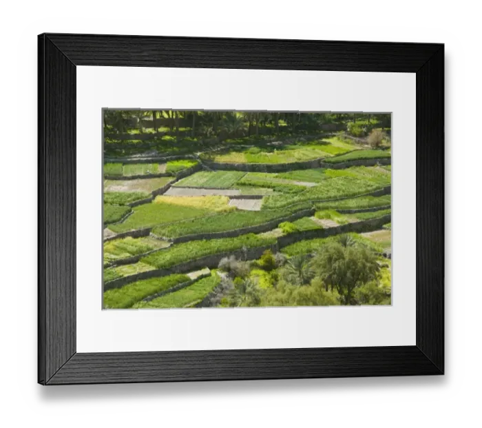 Framed Print : Asia, Oman Framed Print : Asia, Oman
