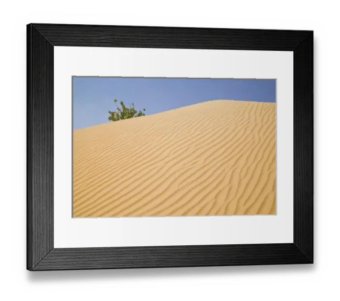 Framed Print : Asia, Oman