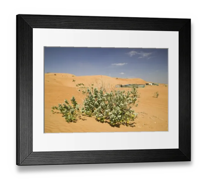 Framed Print : Oman, Sharqiya Region, Al Minitrib. The Sharqiya / Wahiba Sand Dunes Framed Print : Oman, Sharqiya Region, Al Minitrib. The Sharqiya / Wahiba Sand Dunes