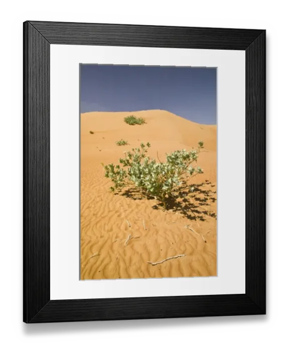 Framed Print : Oman, Sharqiya Region, Al Minitrib. The Sharqiya / Wahiba Sand Dunes Framed Print : Oman, Sharqiya Region, Al Minitrib. The Sharqiya / Wahiba Sand Dunes