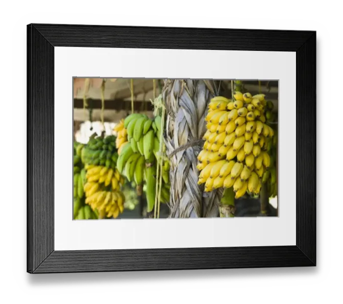 Framed Print : Asia, Oman Framed Print : Asia, Oman