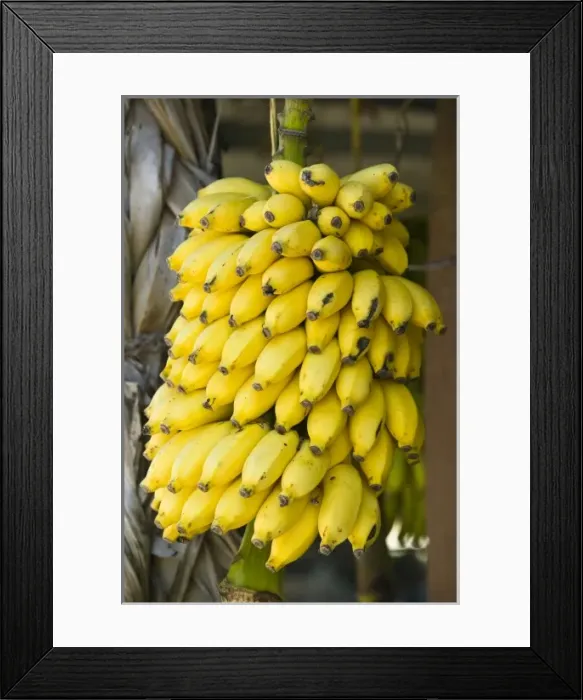 Framed Print : Asia, Oman Framed Print : Asia, Oman