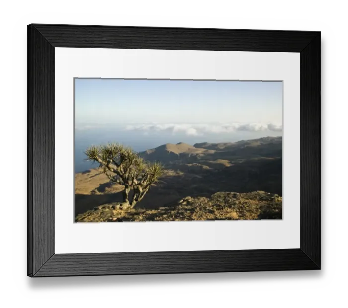 Framed Print : Asia, Oman Framed Print : Asia, Oman