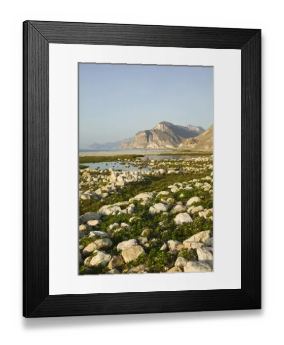 Framed Print : Asia, Oman
