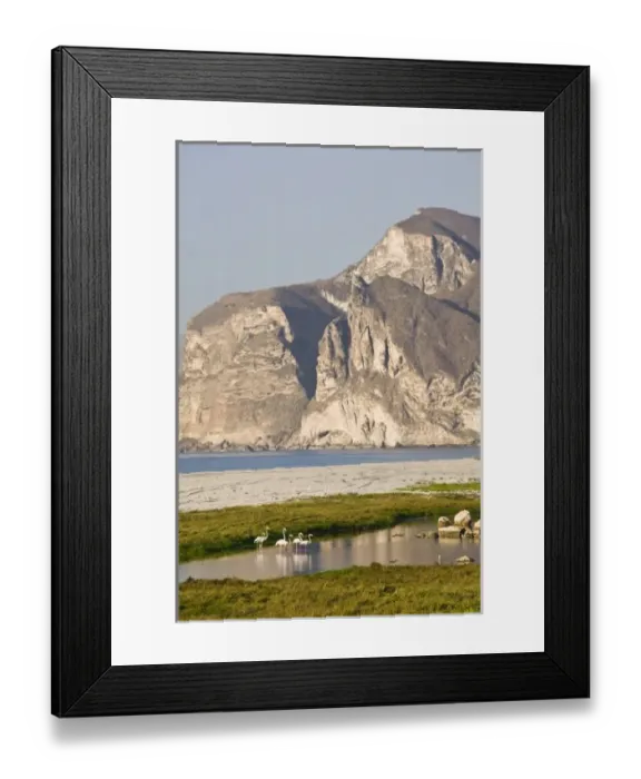Framed Print : Asia, Oman