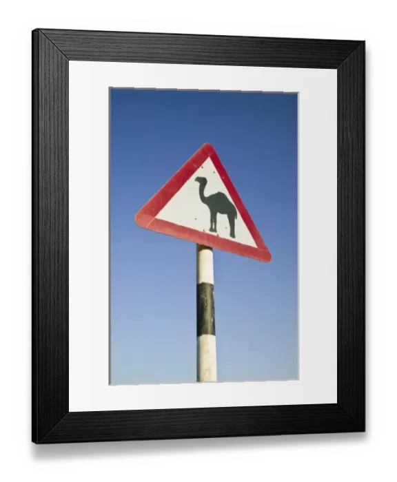 Framed Print : Oman, Dhofar Region, Salalah. Camel Crossing Sign in the Dhofar Mountains / Morning Framed Print : Oman, Dhofar Region, Salalah. Camel Crossing Sign in the Dhofar Mountains / Morning
