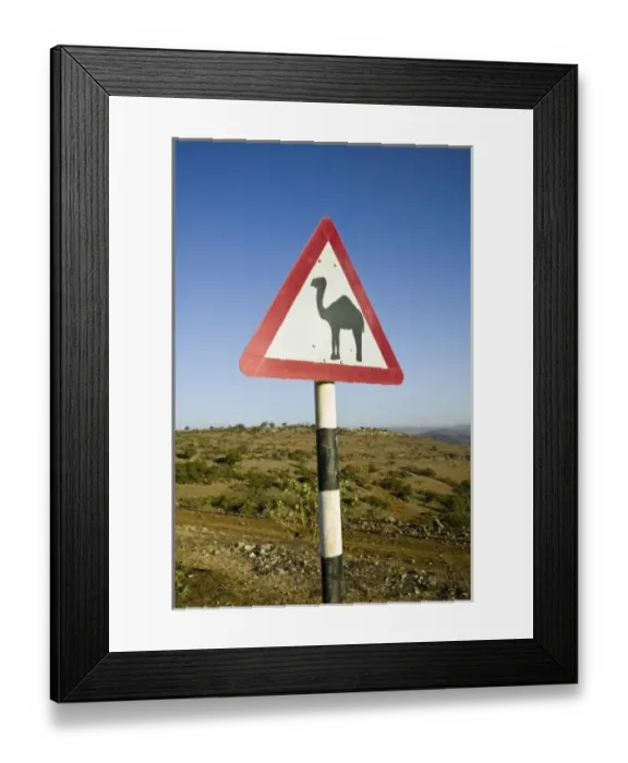 Framed Print : Oman, Dhofar Region, Salalah. Camel Crossing Sign in the Dhofar Mountains / Morning Framed Print : Oman, Dhofar Region, Salalah. Camel Crossing Sign in the Dhofar Mountains / Morning