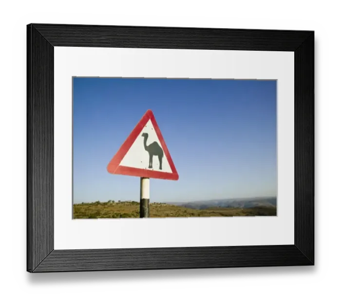 Framed Print : Oman, Dhofar Region, Salalah. Camel Crossing Sign in the Dhofar Mountains / Morning Framed Print : Oman, Dhofar Region, Salalah. Camel Crossing Sign in the Dhofar Mountains / Morning