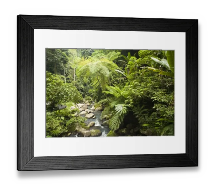 Framed Print : Asia, Philippines Framed Print : Asia, Philippines