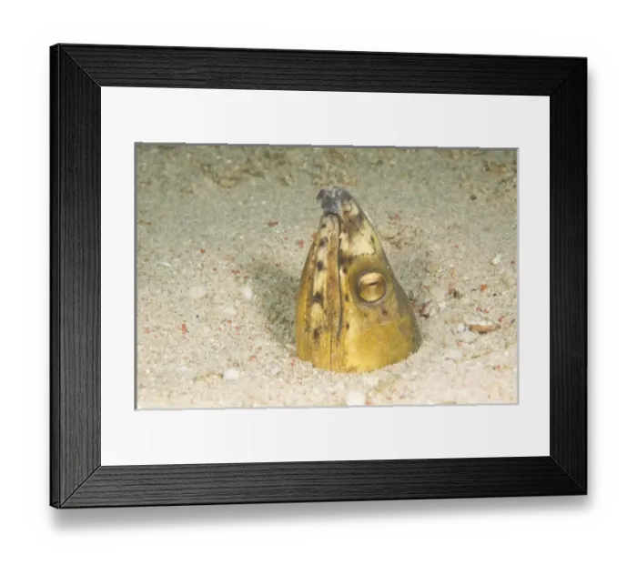 Framed Print : Asia, Philippines Framed Print : Asia, Philippines