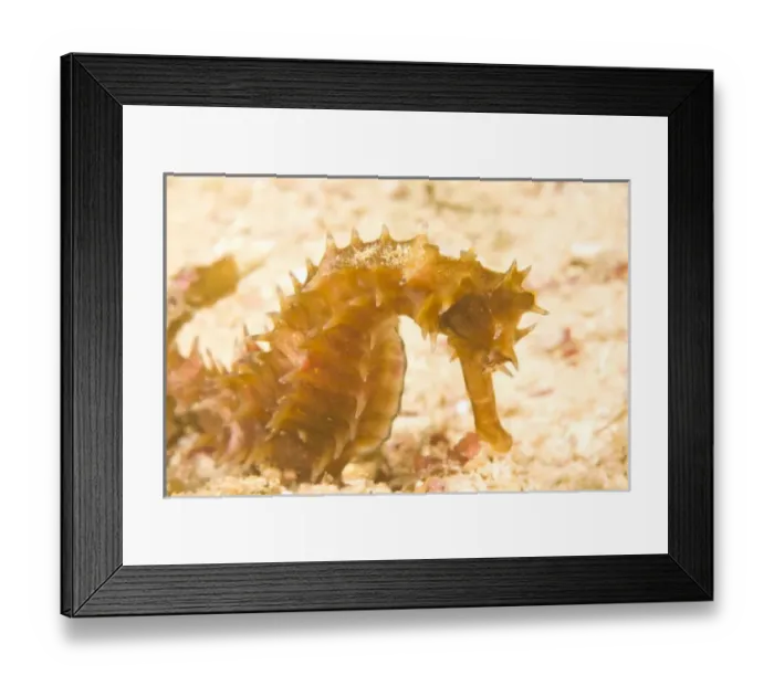 Framed Print : Asia, Philippines