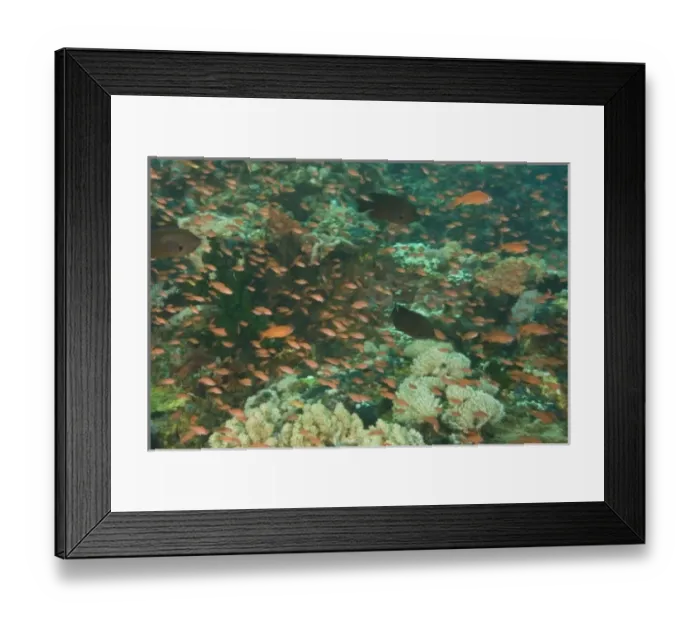 Framed Print : Asia, Philippines Framed Print : Asia, Philippines