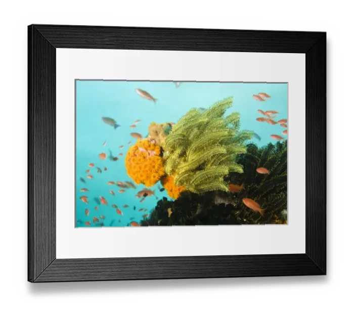 Framed Print : Asia, Philippines Framed Print : Asia, Philippines