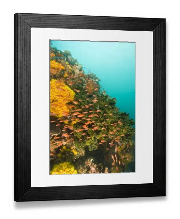 Framed Print : Asia, Philippines Framed Print : Asia, Philippines