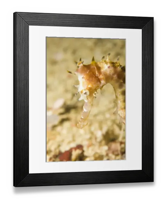 Framed Print : Asia, Philippines