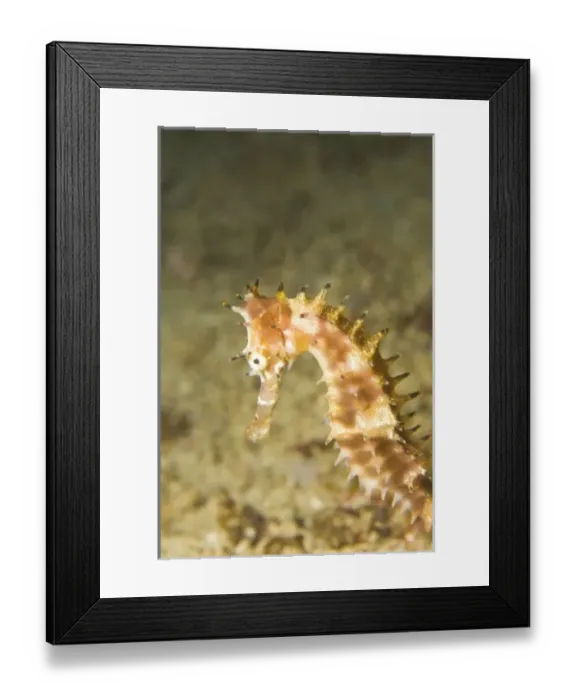 Framed Print : Asia, Philippines Framed Print : Asia, Philippines