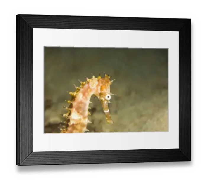 Framed Print : Asia, Philippines Framed Print : Asia, Philippines
