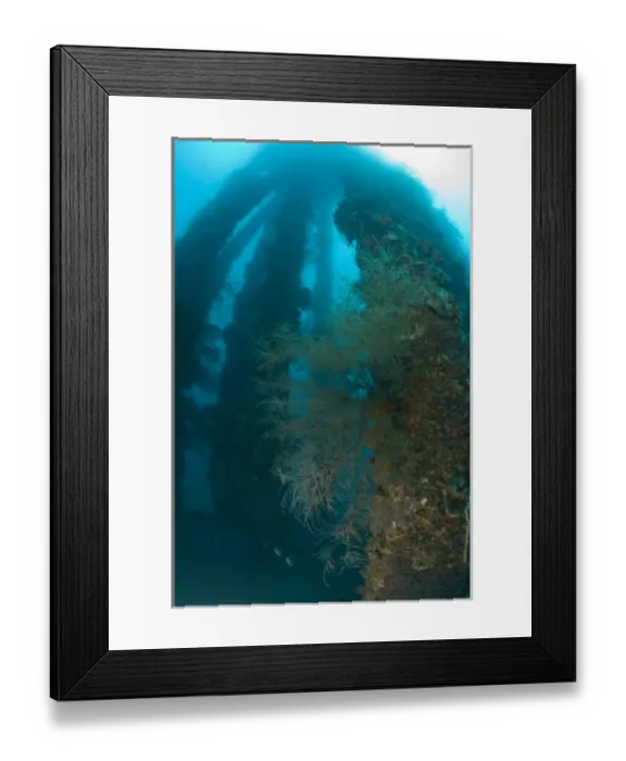 Framed Print : Dumaguete Pier, capital of Negro Oriental Island, Philippines, SE Asia Framed Print : Dumaguete Pier, capital of Negro Oriental Island, Philippines, SE Asia
