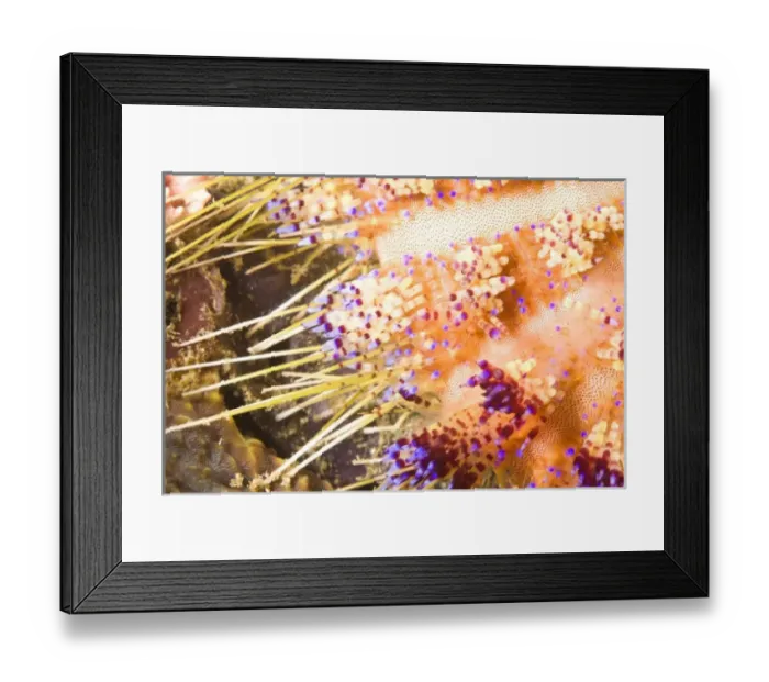 Framed Print : Asia, Philippines Framed Print : Asia, Philippines