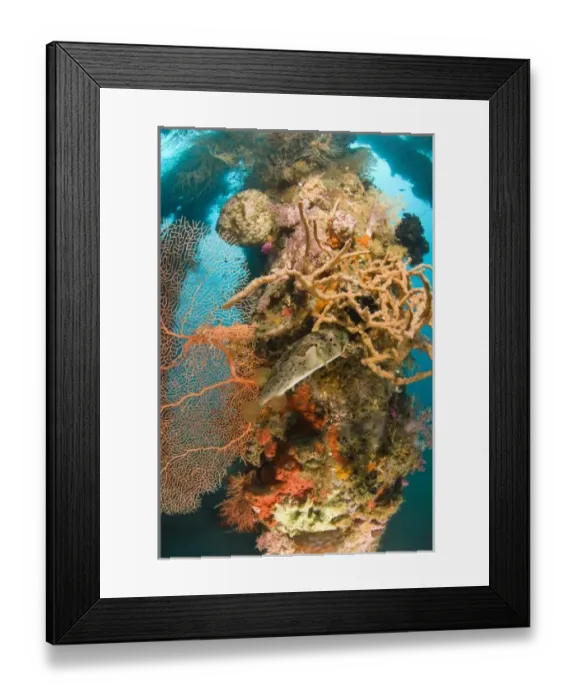 Framed Print : Asia, Philippines