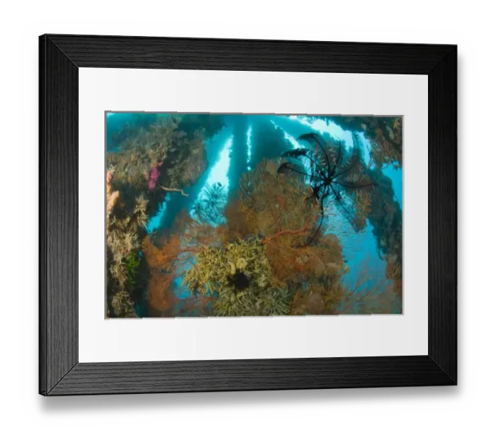 Framed Print : Dumaguete Pier, capital of Negro Oriental Island, Philippines, SE Asia Framed Print : Dumaguete Pier, capital of Negro Oriental Island, Philippines, SE Asia