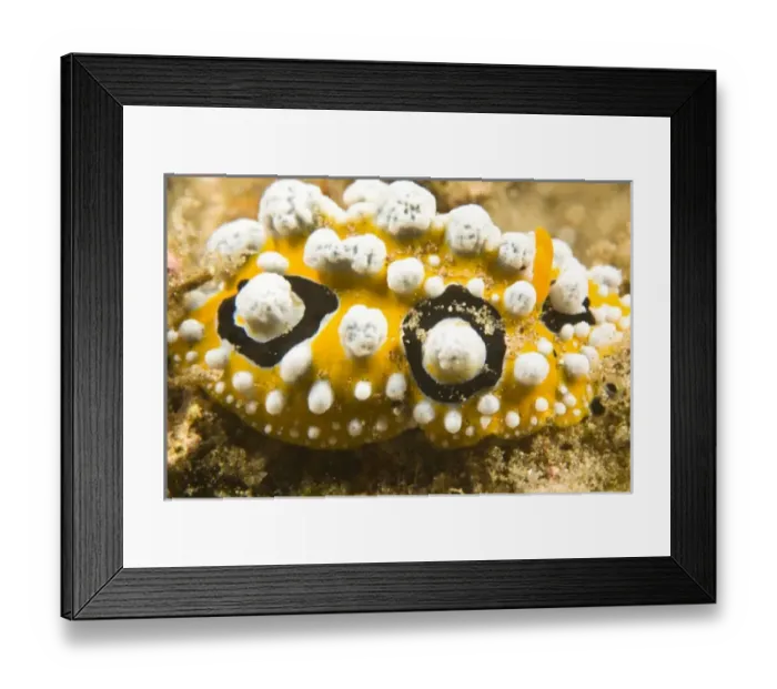 Framed Print : Asia, Philippines Framed Print : Asia, Philippines