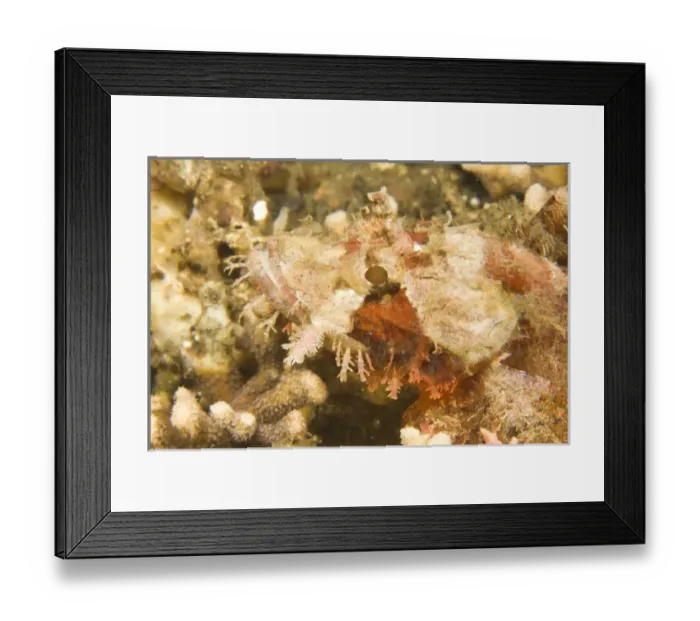 Framed Print : Asia, Philippines Framed Print : Asia, Philippines