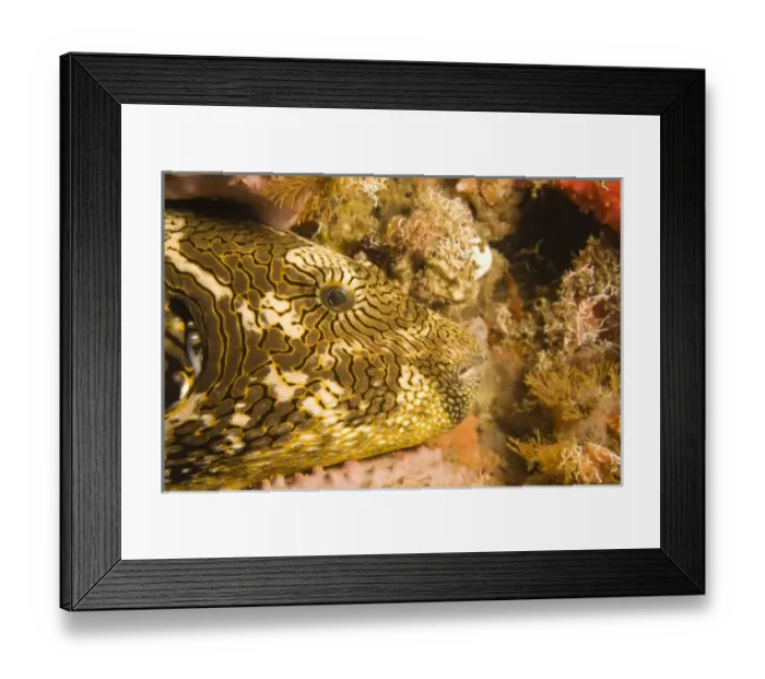 Framed Print : Asia, Philippines Framed Print : Asia, Philippines