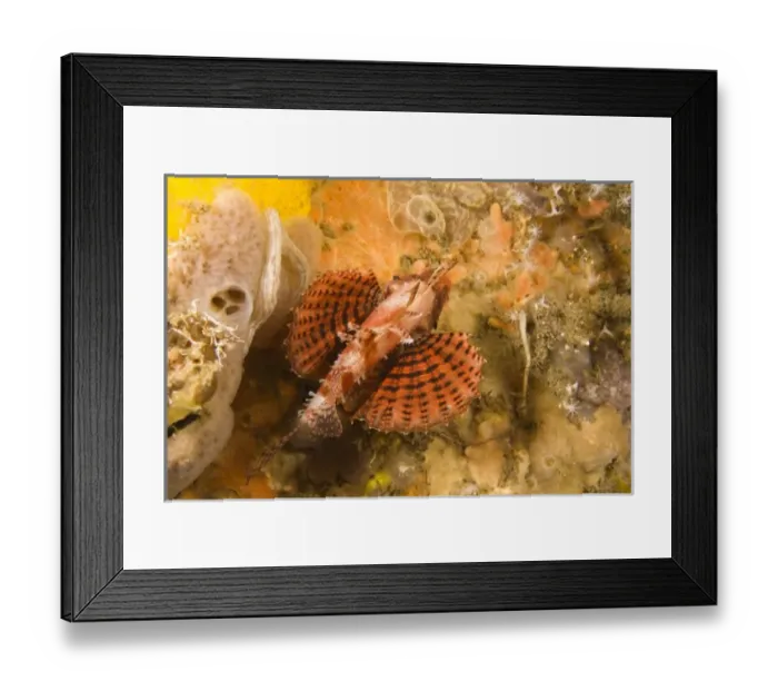 Framed Print : Asia, Philippines Framed Print : Asia, Philippines
