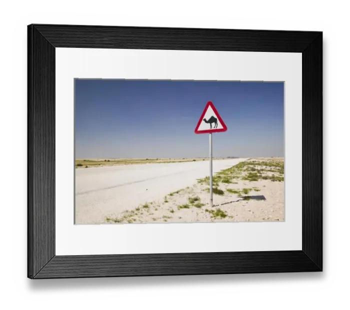 Framed Print : Qatar, Al Zubarah. Camel Crossing Sign-Road to Al-Zubarah NW Qatar Framed Print : Qatar, Al Zubarah. Camel Crossing Sign-Road to Al-Zubarah NW Qatar