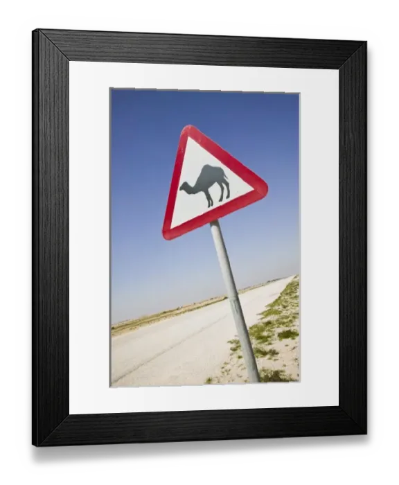 Framed Print : Qatar, Al Zubarah. Camel Crossing Sign-Road to Al-Zubarah NW Qatar Framed Print : Qatar, Al Zubarah. Camel Crossing Sign-Road to Al-Zubarah NW Qatar