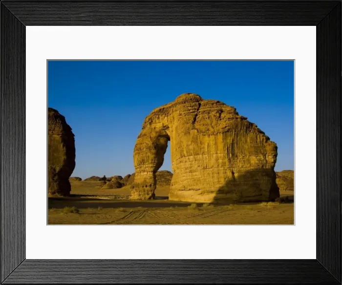 Framed Print : Saudi Arabia, Al Ula, elephant rock in the desert near the oasis