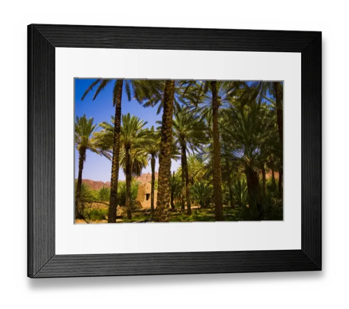 Framed Print : Saudi Arabia, Al-Ula date palm trees in the oasis and old houses Framed Print : Saudi Arabia, Al-Ula date palm trees in the oasis and old houses