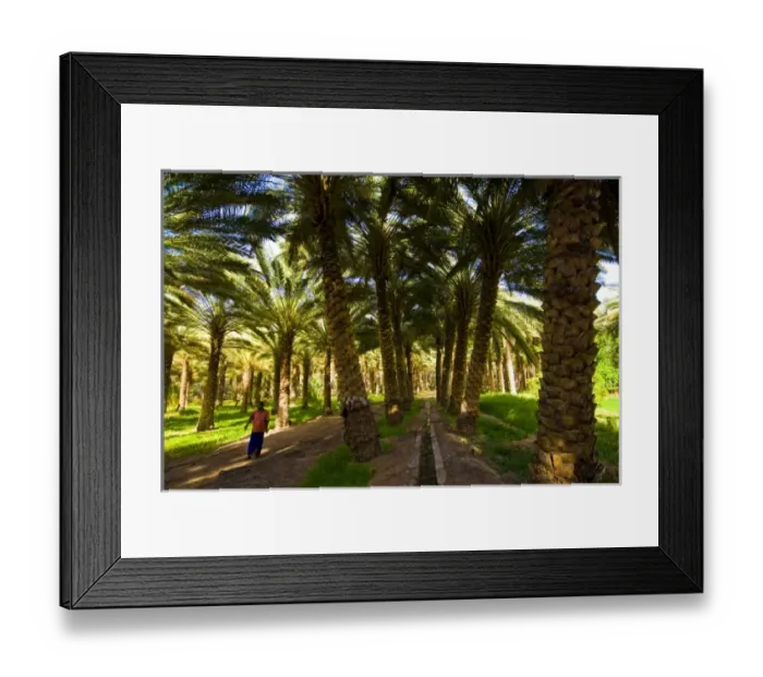 Framed Print : Asia, Saudi Arabia Framed Print : Asia, Saudi Arabia