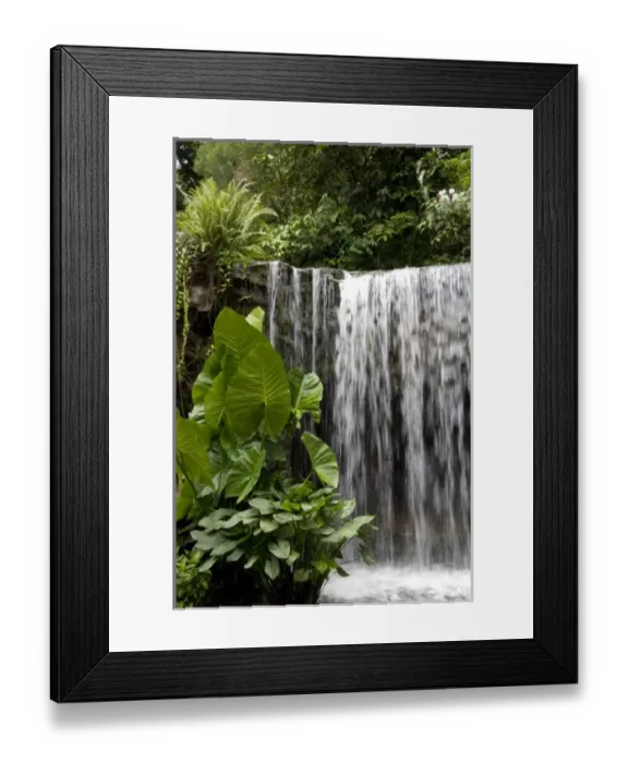 Framed Print : Asia, Singapore