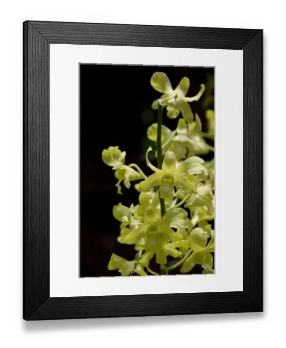 Framed Print : Asia, Singapore Framed Print : Asia, Singapore