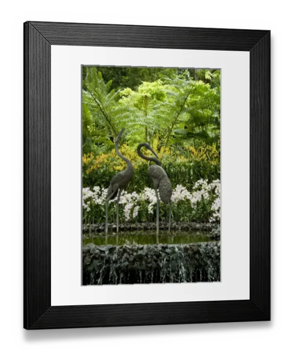 Framed Print : Asia, Singapore Framed Print : Asia, Singapore