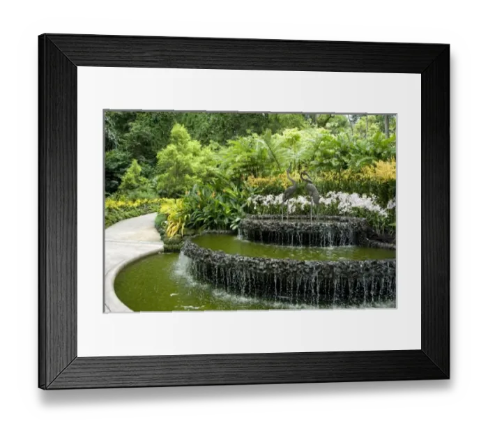 Framed Print : Asia, Singapore