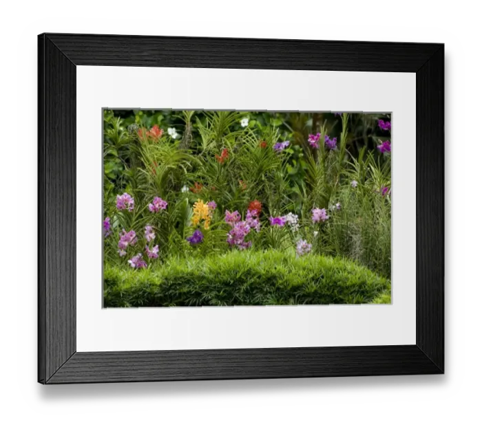 Framed Print : Asia, Singapore Framed Print : Asia, Singapore
