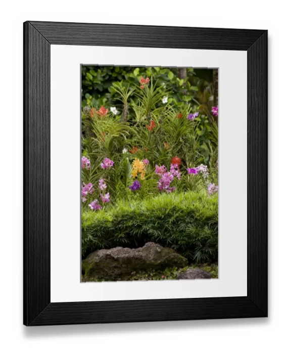 Framed Print : Asia, Singapore Framed Print : Asia, Singapore