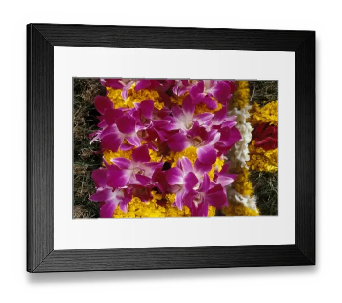 Framed Print : Asia, Singapore. Flowers for sale Framed Print : Asia, Singapore. Flowers for sale
