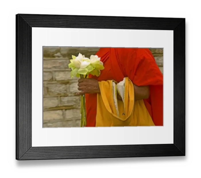 Framed Print : Sri Lanka, Anuradhapura, Ruvanvalisaya (Great Stupa, iGolden Sand Stupai) detail Framed Print : Sri Lanka, Anuradhapura, Ruvanvalisaya (Great Stupa, iGolden Sand Stupai) detail