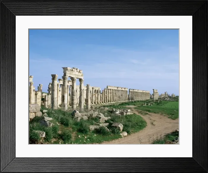 Framed Print : SYRIA. APAMEA (Afamia). Colonnade in Cardo Maximus Avenue